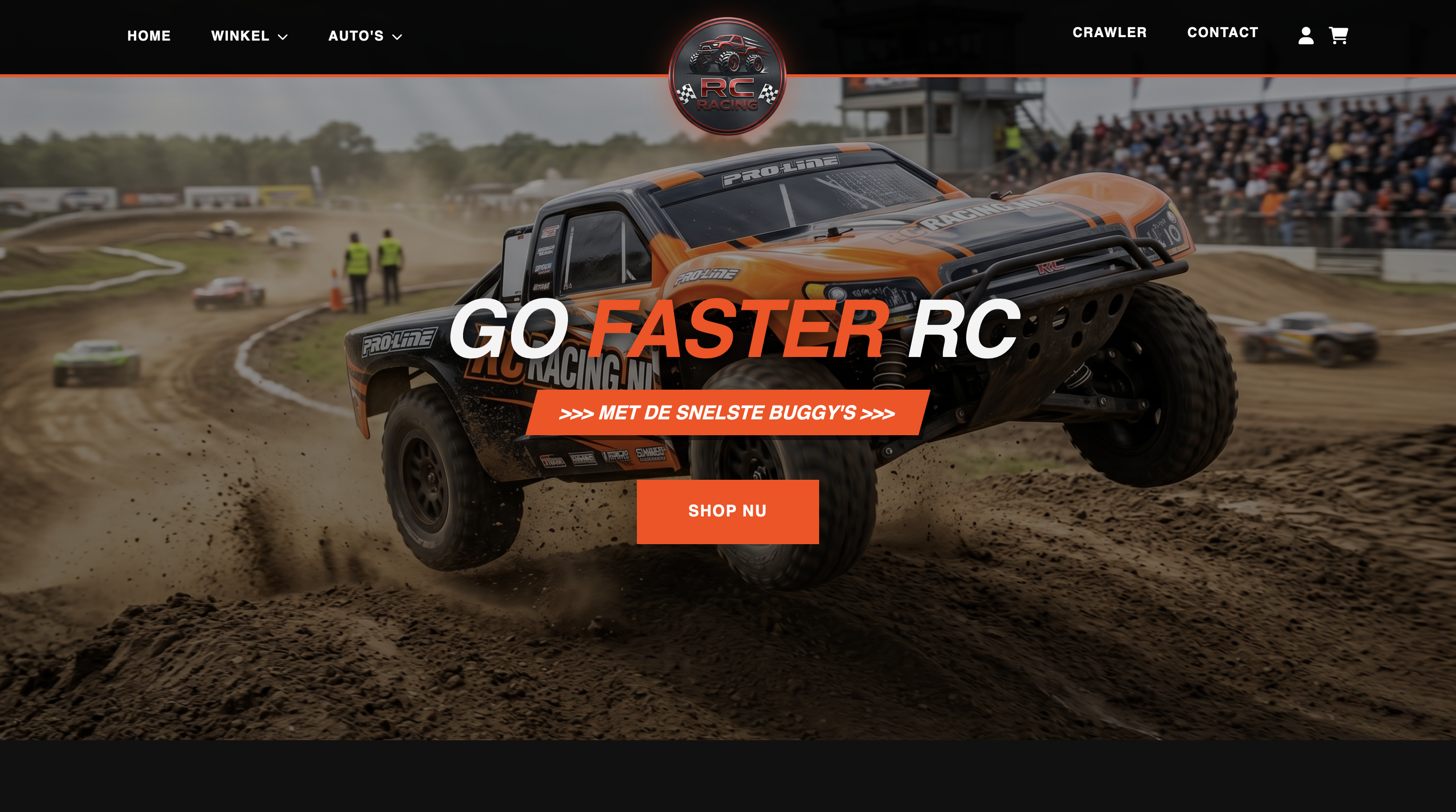RC Racing Interface